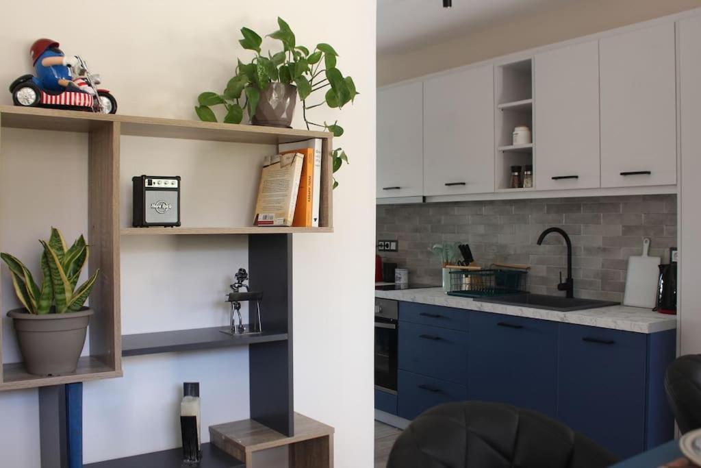 Agnes Apartment Filopappou Ateny Zewnętrze zdjęcie